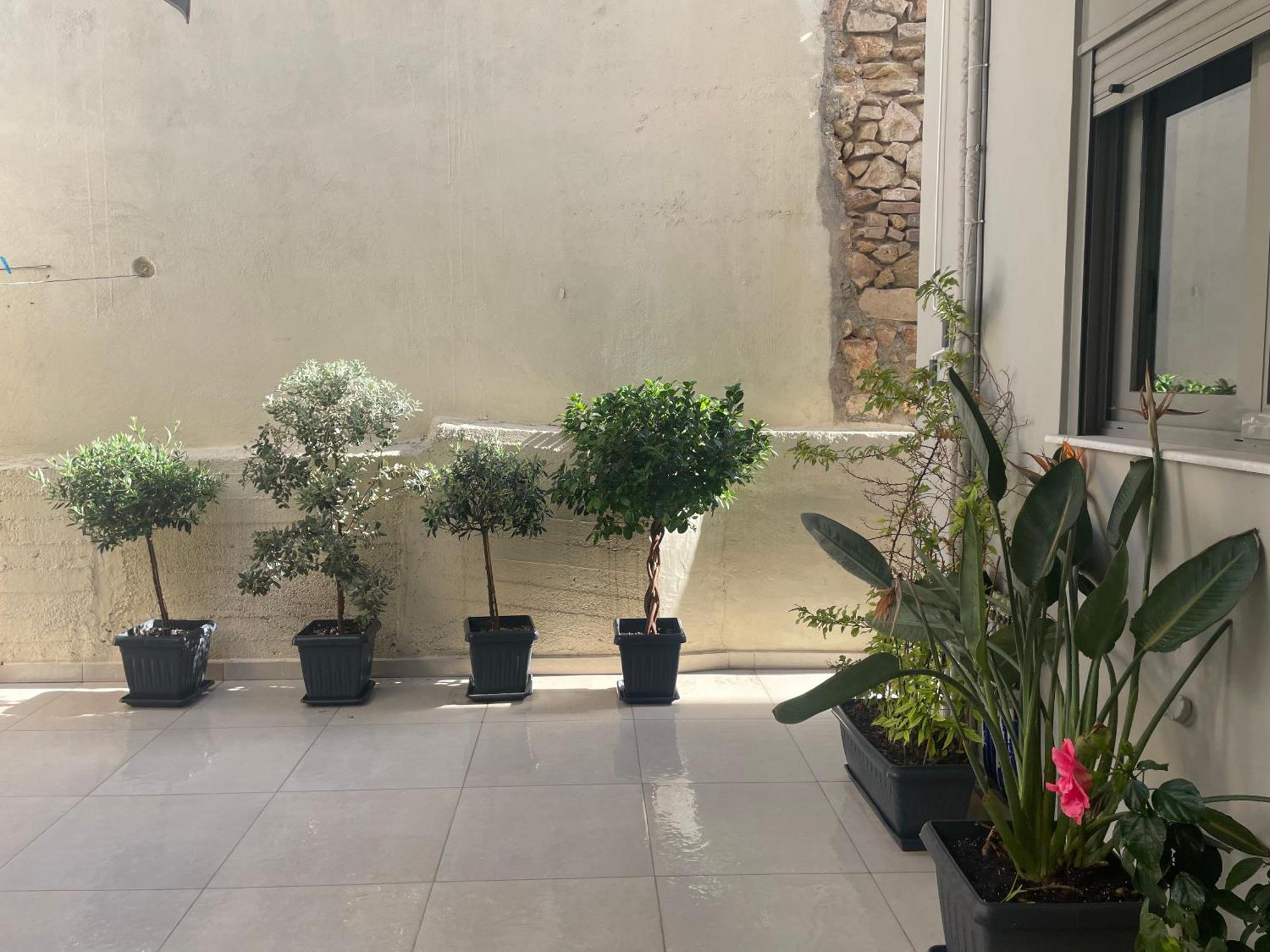 Leonidas House Chania  Ngoại thất bức ảnh